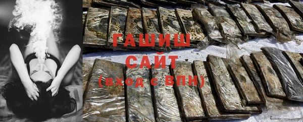 прущие грибы Алзамай