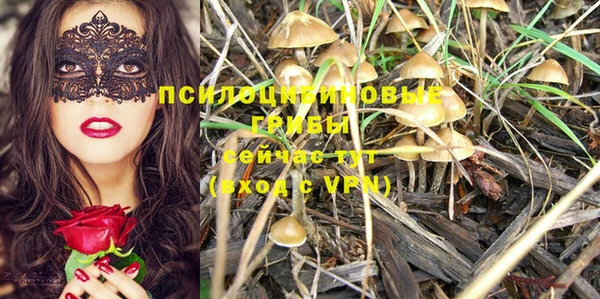 молекула духа Алексеевка