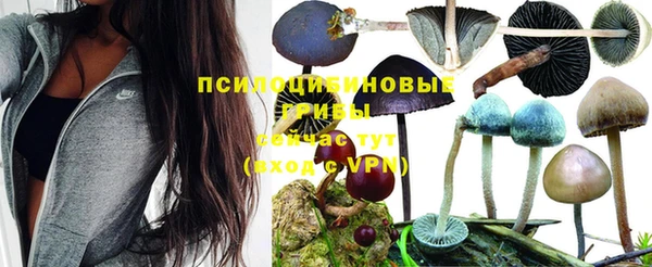 молекула духа Алексеевка