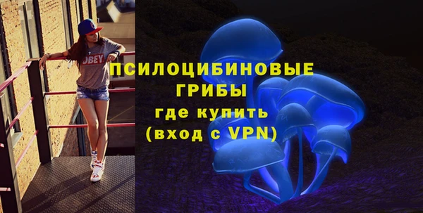 герыч Алексин