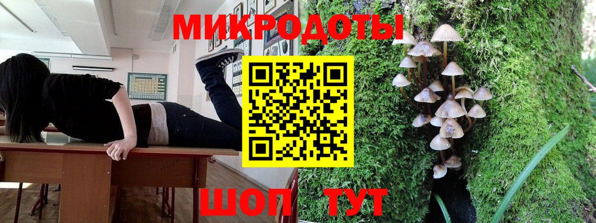 Самара  Псилоцибиновые грибы Psilocybe  Вход с VPN  закладка  Галлюциногенные грибы прущие грибы 