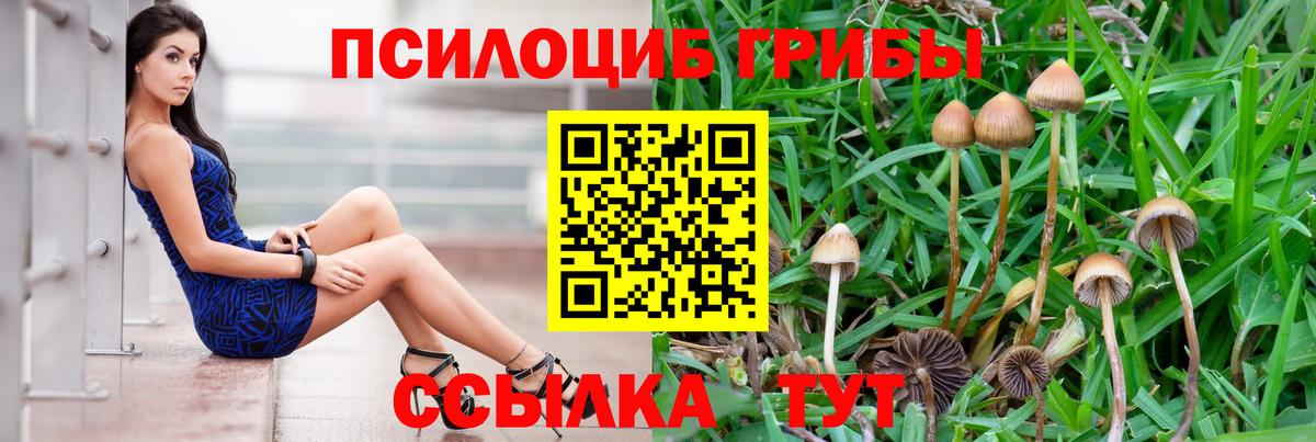 Галлюциногенные грибы ЛСД Самара